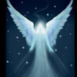 Meet your Posher, Angel